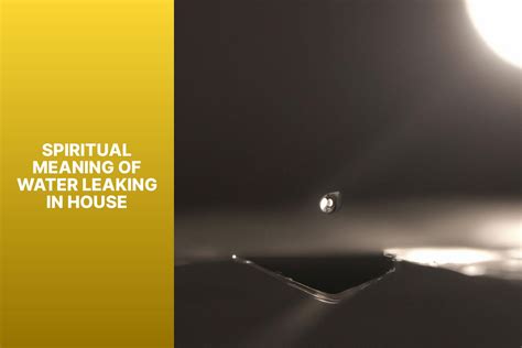 spiritual meaning of water leaking in house|Unveiling the Spiritual Meaning of Water Leaks in。